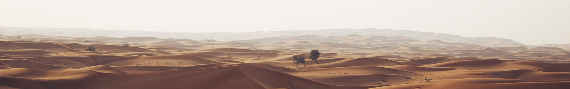 ھƺ޹˾